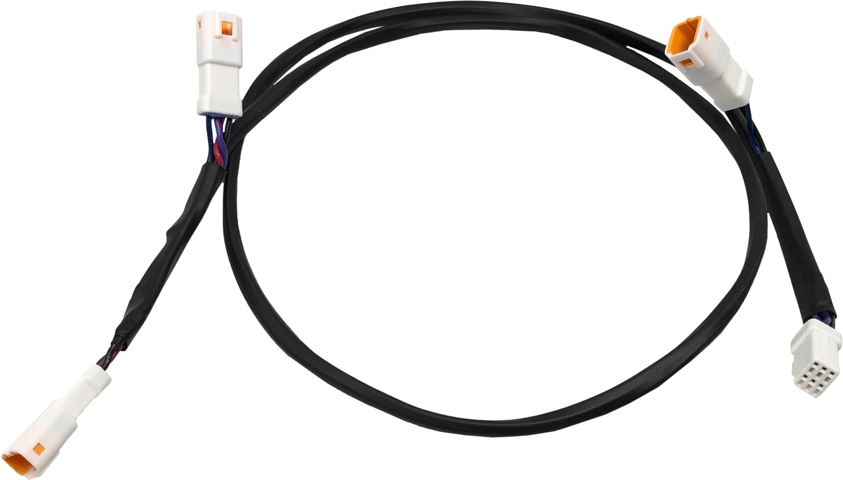 REAR LED HARNESS `21-UP SPORTSTER S