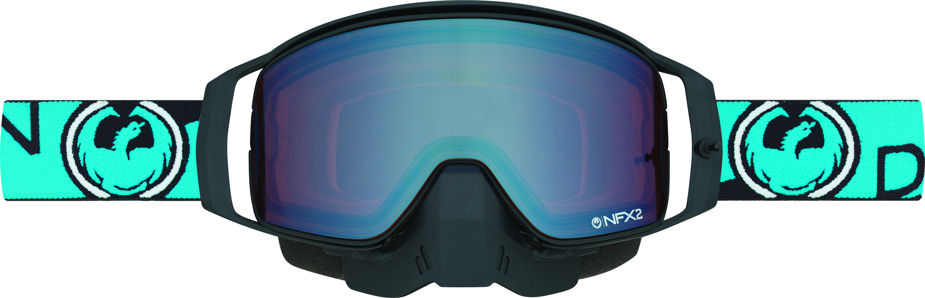 NFX2 Snow Goggle
