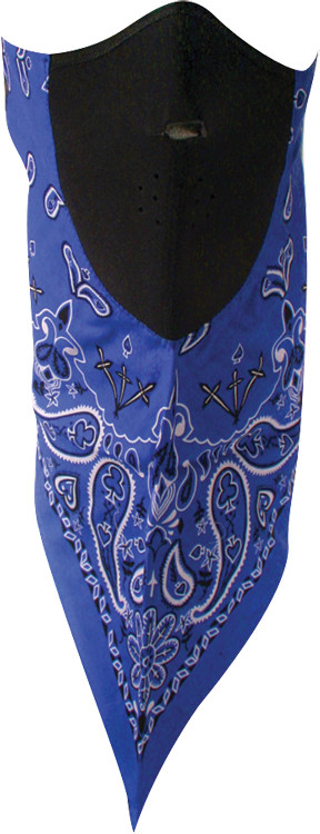 Neodanna Blue Paisley