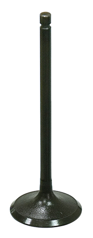 Intake Valve
