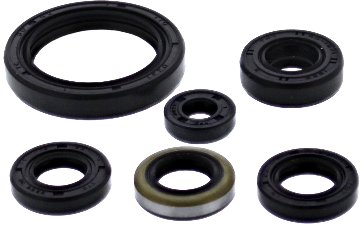 Oil Seal Set