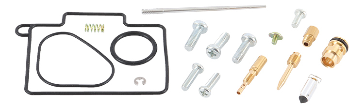 Carburetor Repair Kit