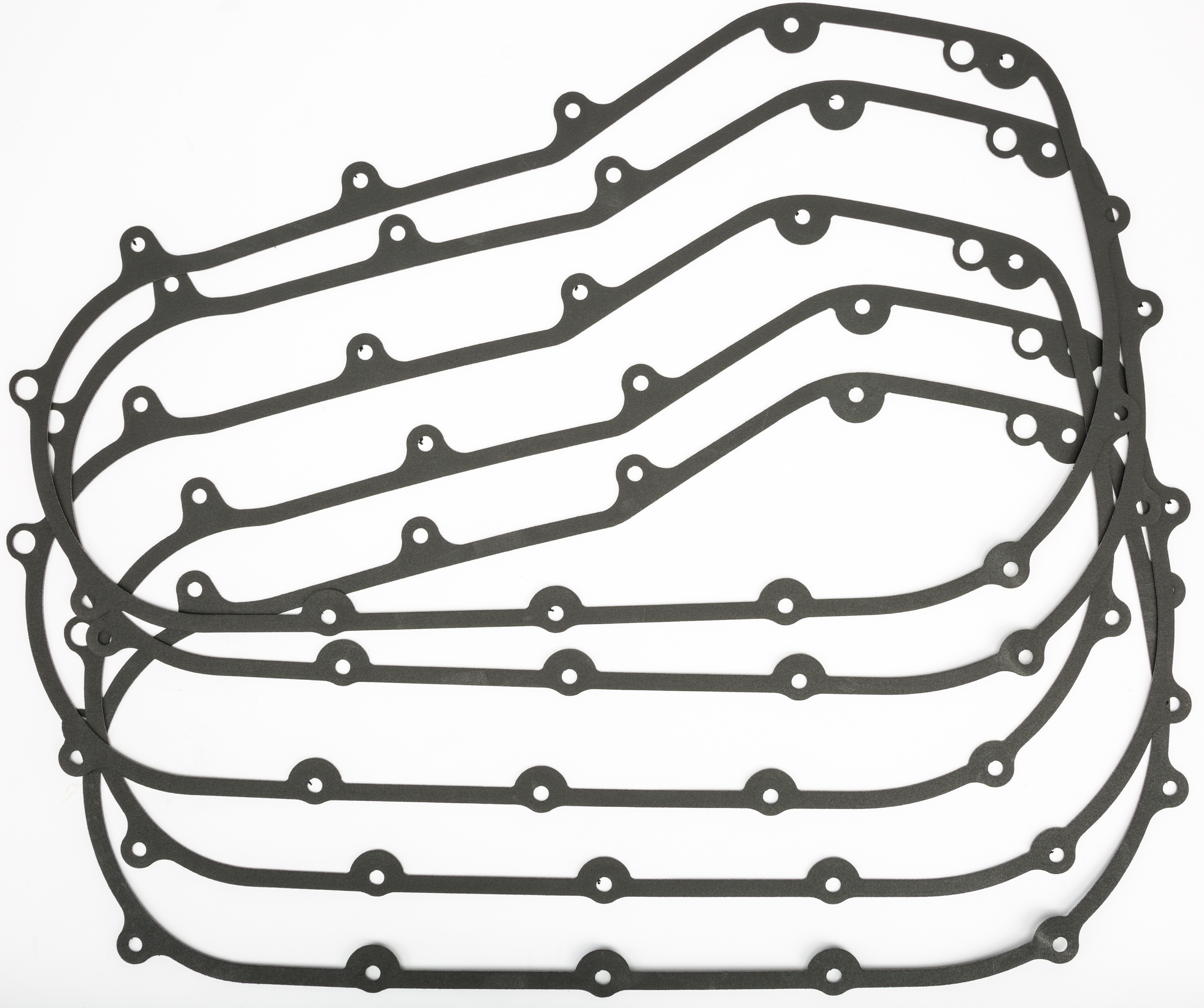 Primary Housing Gasket