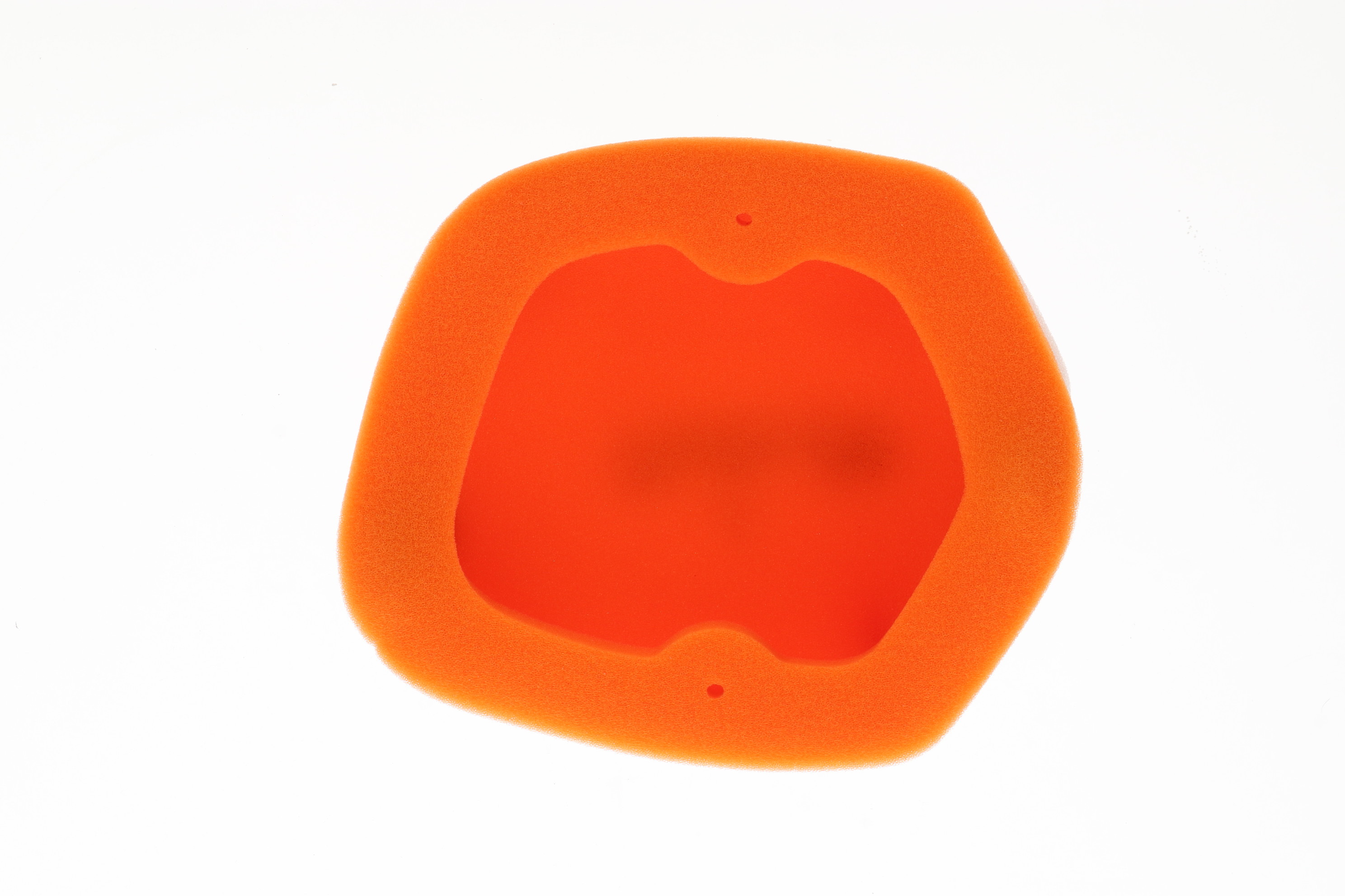 Foam Air Filter