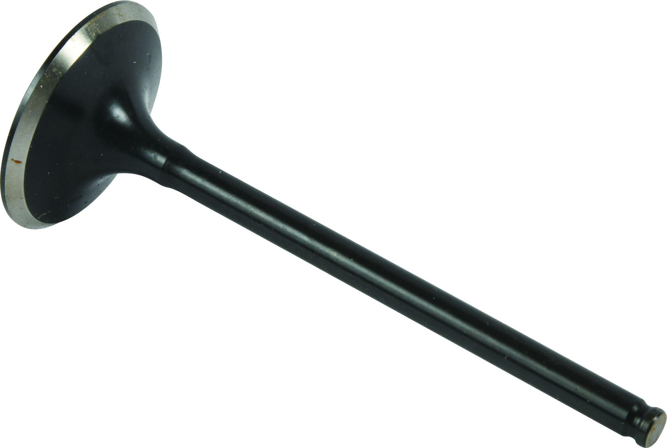 Exhaust Valve