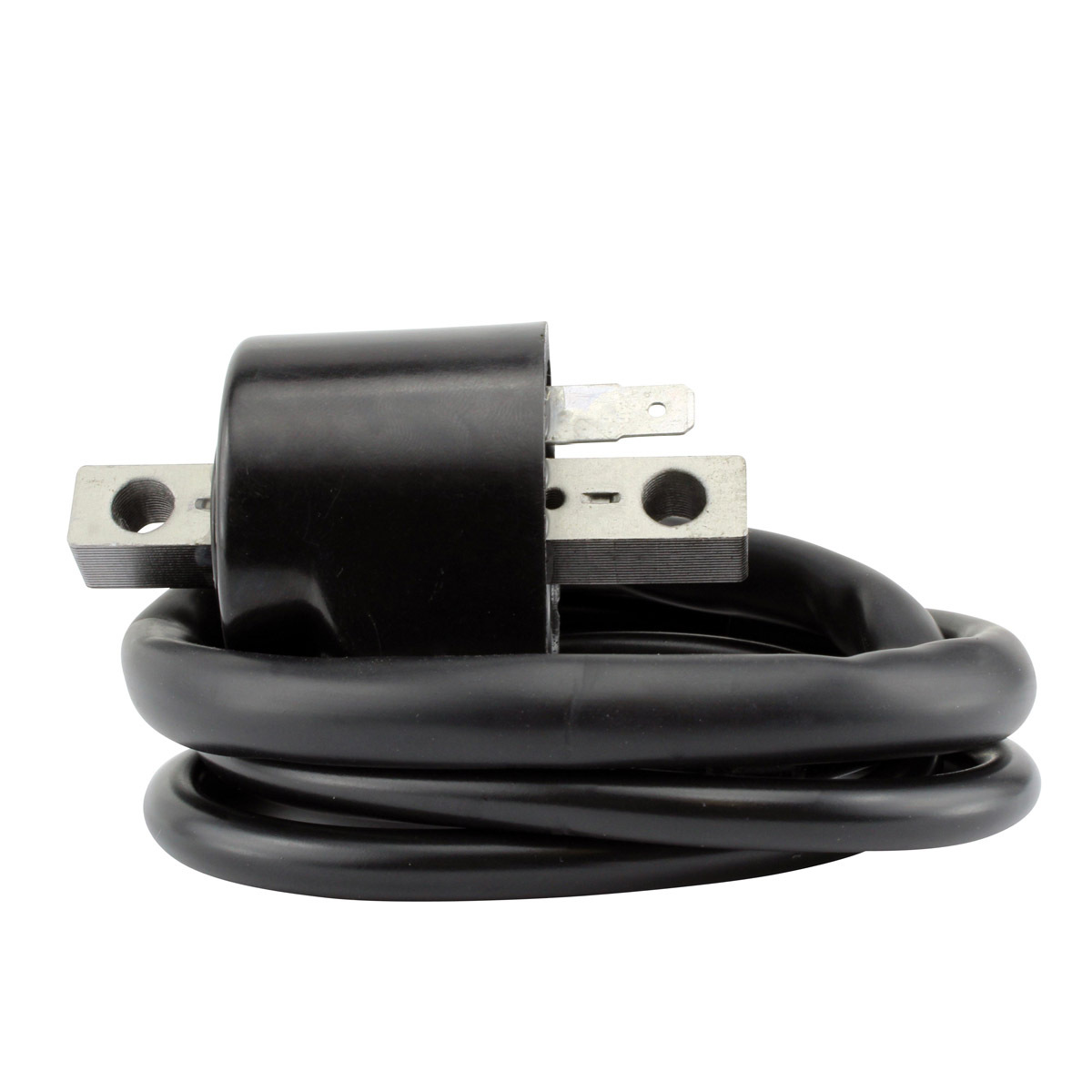 External Ignition Coils