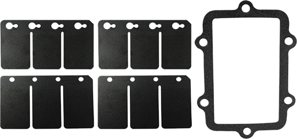 Reed Valve Rebuild Kit