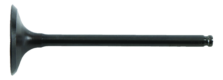 Exhaust Valve