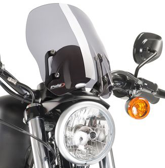 Naked New Gen Windscreen