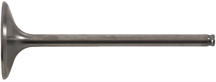 Intake Valve