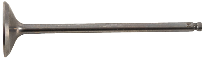 Intake Valve