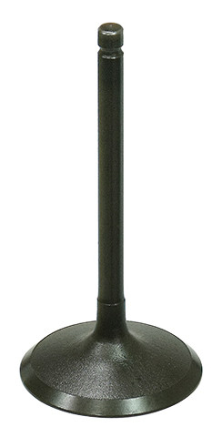 BRONCO INTAKE VALVE