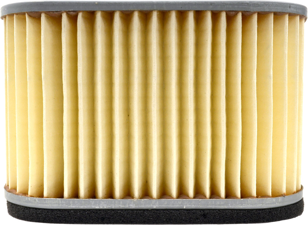 EMGO - 12-94310 - OEM Style Air Filter image 1 of 1