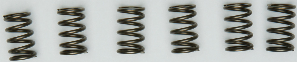 EBC CLUTCH SPRINGS CSK171
