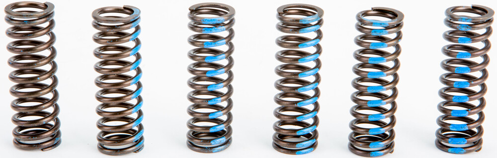 CLUTCH SPRINGS
