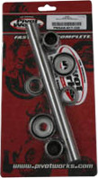 PIVOT WORKS SWINGARM KIT