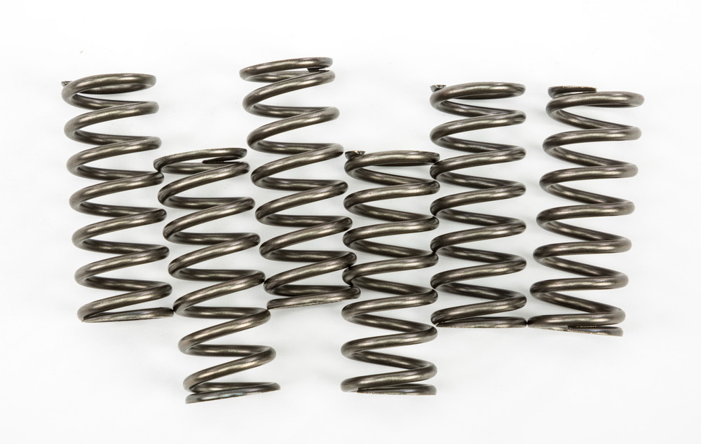 EBC CLUTCH SPRINGS CSK221