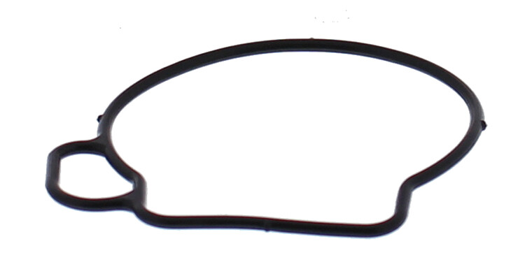 ALL BALLS FLOAT BOWL GASKET ONLY