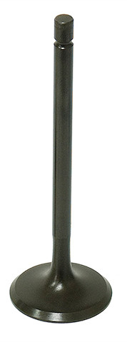 Namura Intake Valve