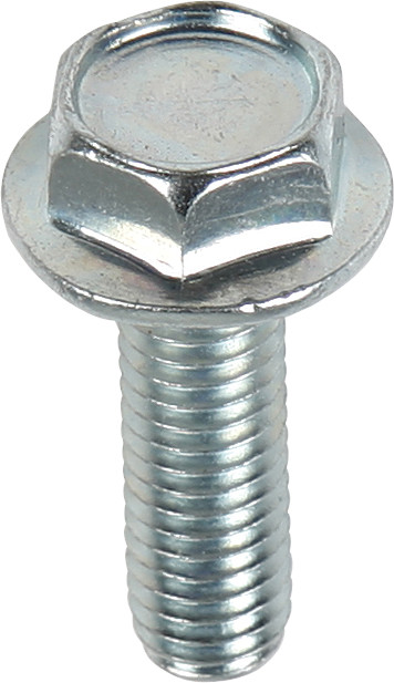 10MM HEX HEAD FLANGE BOLTS 6X1.0X12MM 10/PK