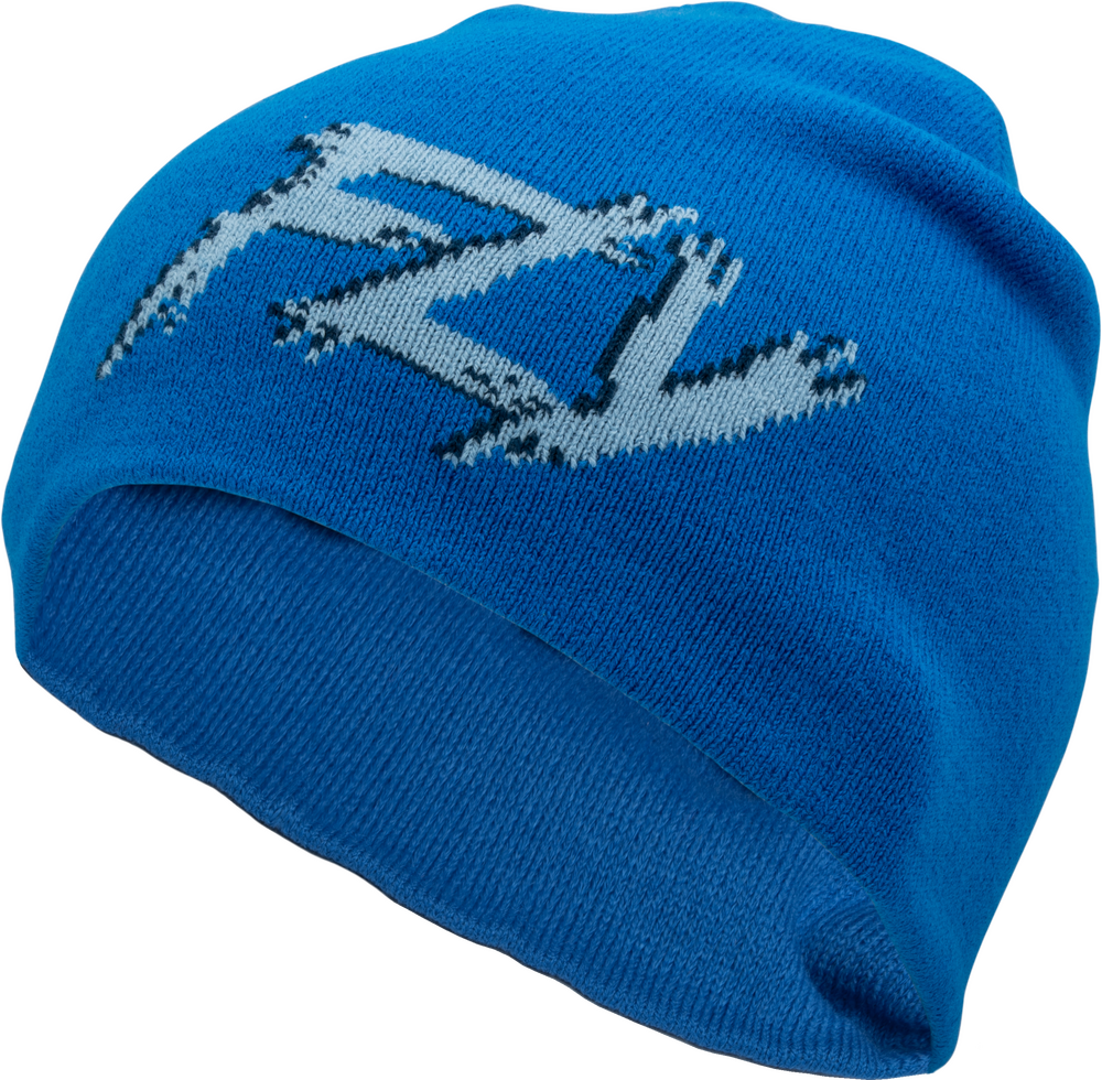 Fly Racing Fitted Beanie — Blue/Black