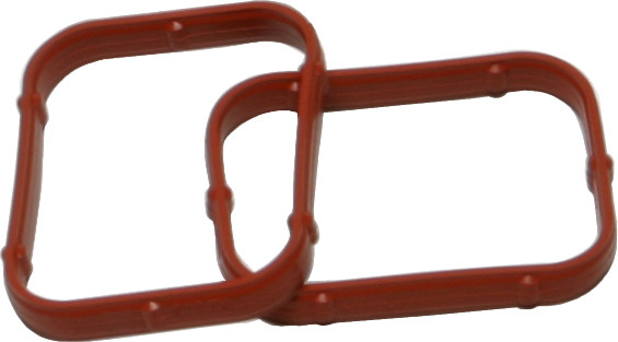 Rocker Gasket