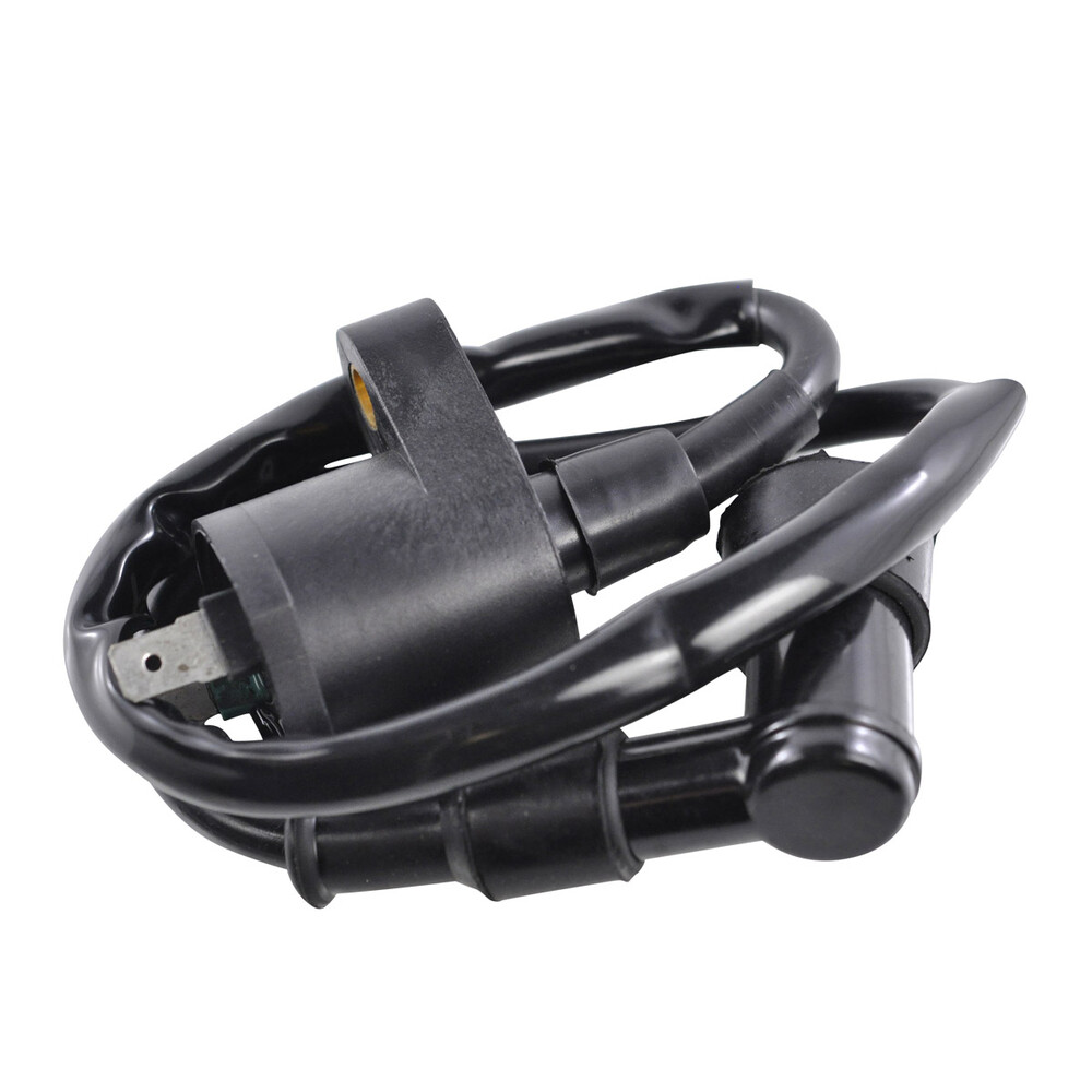 RM STATOR EXTERNAL IGNITION COIL W/SPARK PLUG CAP