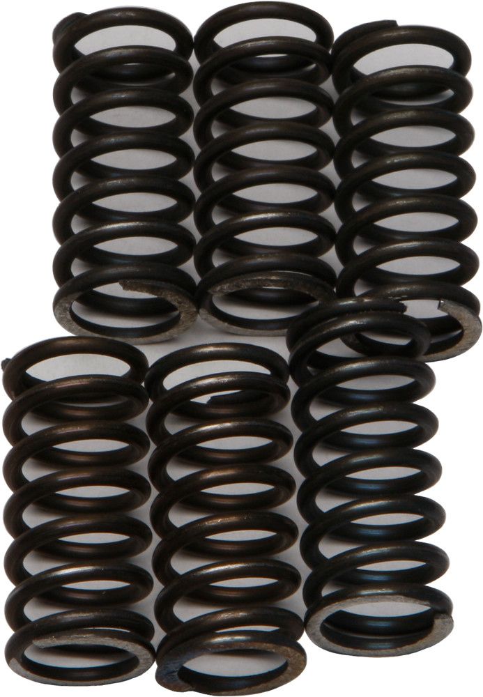 CLUTCH SPRINGS CSK200
