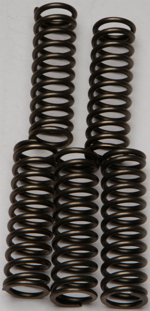 CLUTCH SPRINGS CSK169