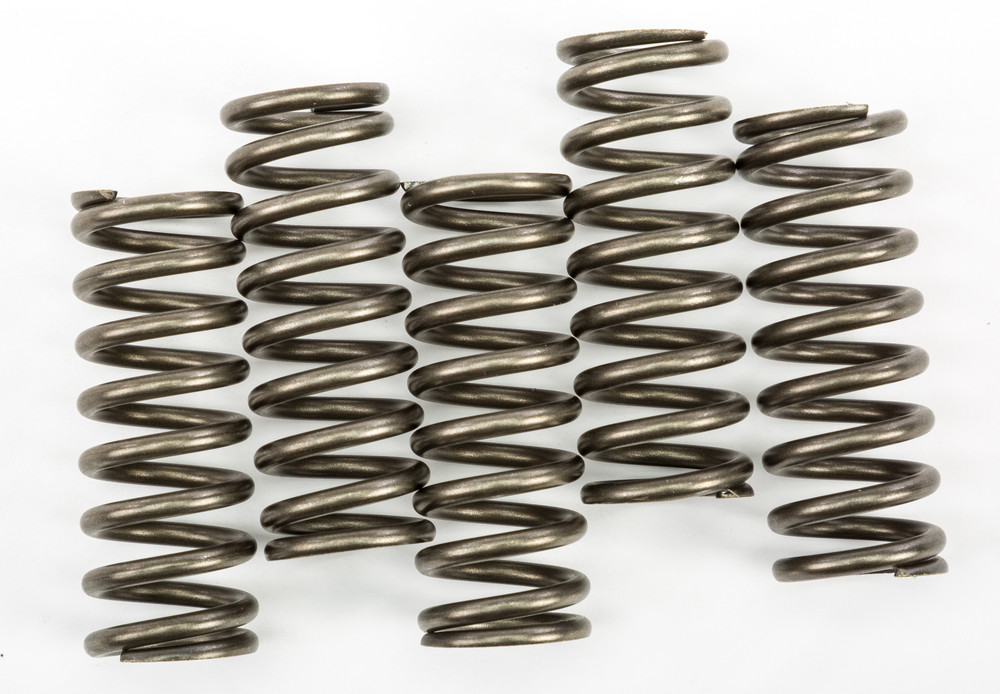 Ebc Clutch Springs Csk254