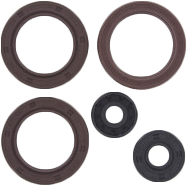 VERTEX ENGINE OIL SEAL KIT CAN