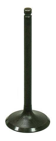 Namura Intake Valve