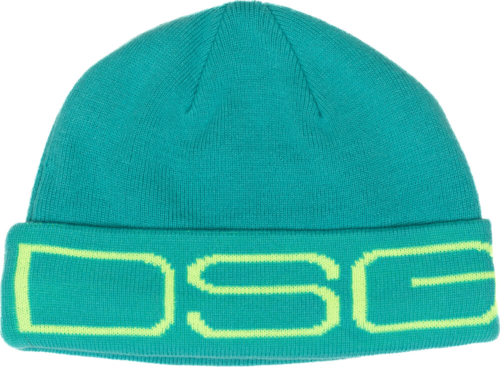 Dsg Logo Beanie — Malachite