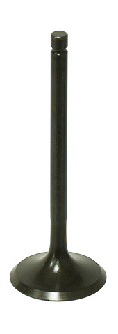 BRONCO INTAKE VALVE
