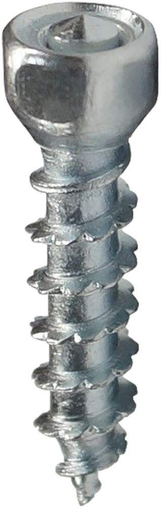 WOODYS BOSS TWIST SCREWS 30MM 100/PK