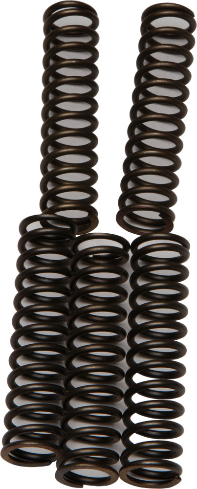 CLUTCH SPRINGS CSK110