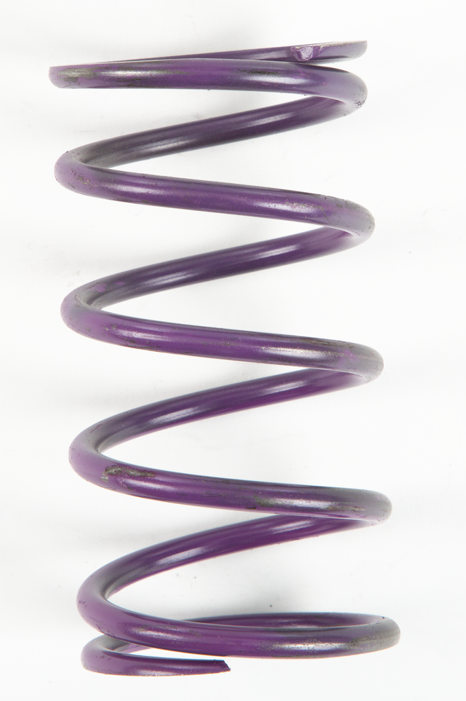 Clutch Spring
