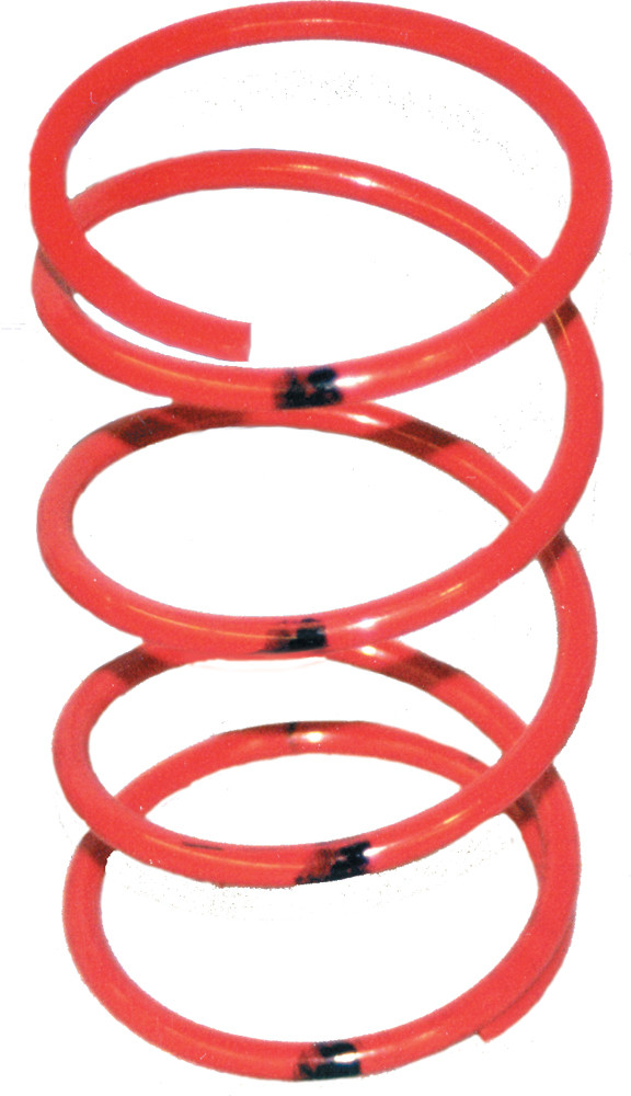 Secondary Spring