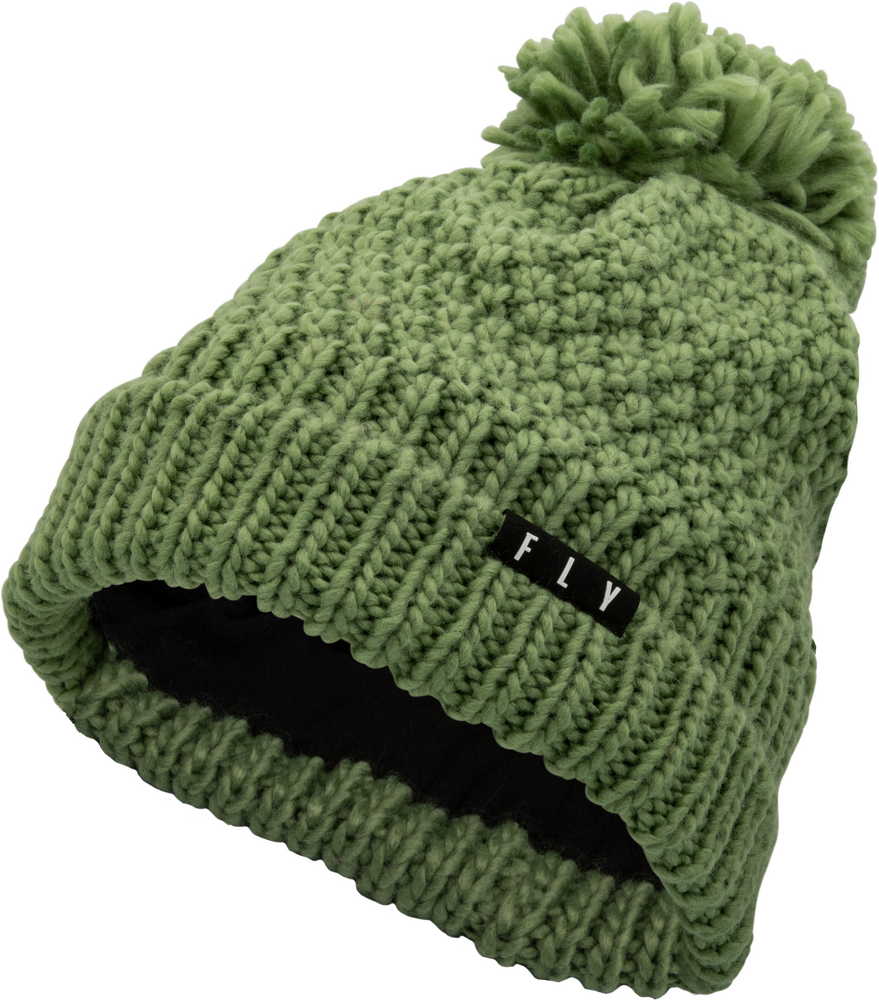 Fly Racing Women's Anna Pom Beanie — Green