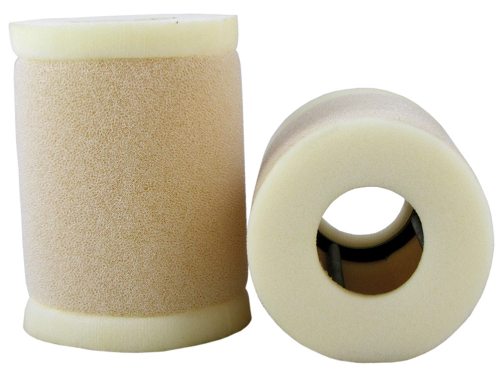 Foam Air Filter with Cage