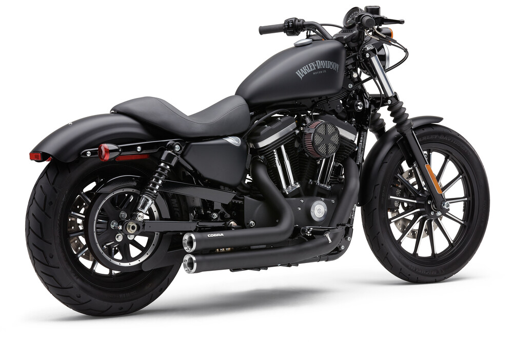 Cobra Speedster Shorts Rpt Black Sportsters 14-22