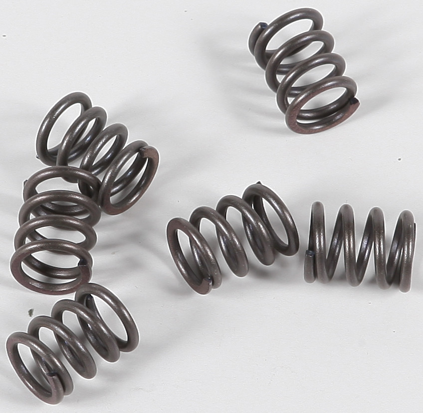EBC CLUTCH SPRINGS CSK21