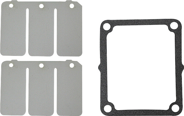 SP1 REED VALVE REBUILD KIT YAM