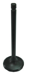 BRONCO EXHAUST VALVE