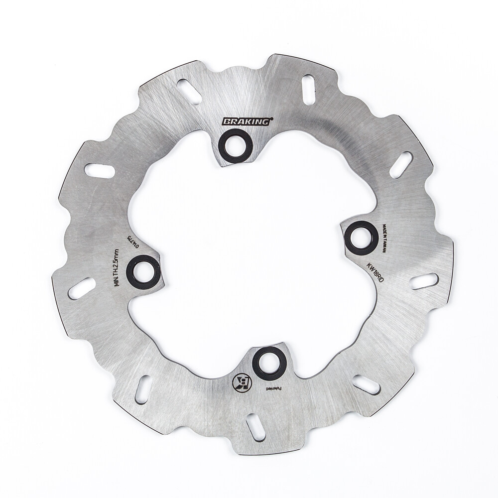 BRAKING ROTOR REAR