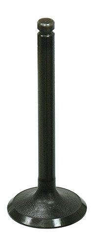 INTAKE VALVE
