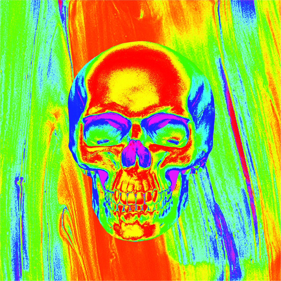 ZAN POLY MICROMESH THRML FLYDANNA SKULL