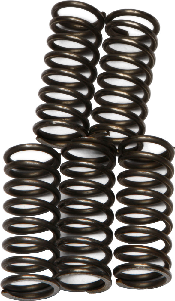 EBC CSK66 Clutch Spring Kit