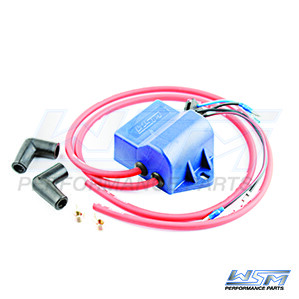 WSM CDI BOX KAW