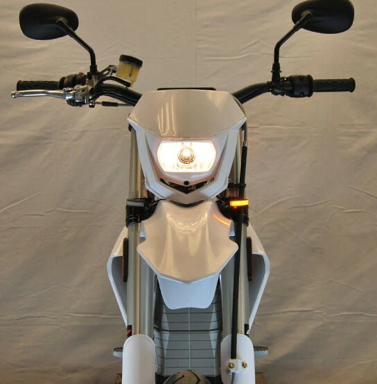 NEW RAGE CYCLES FRONT LED TURN SIGNALS ALT